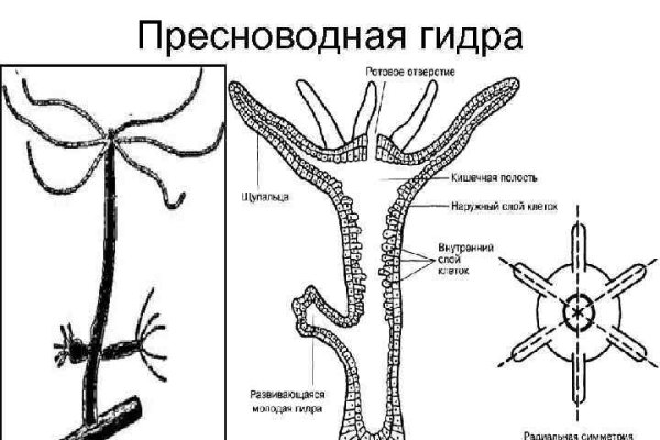 Кракен маркет тор